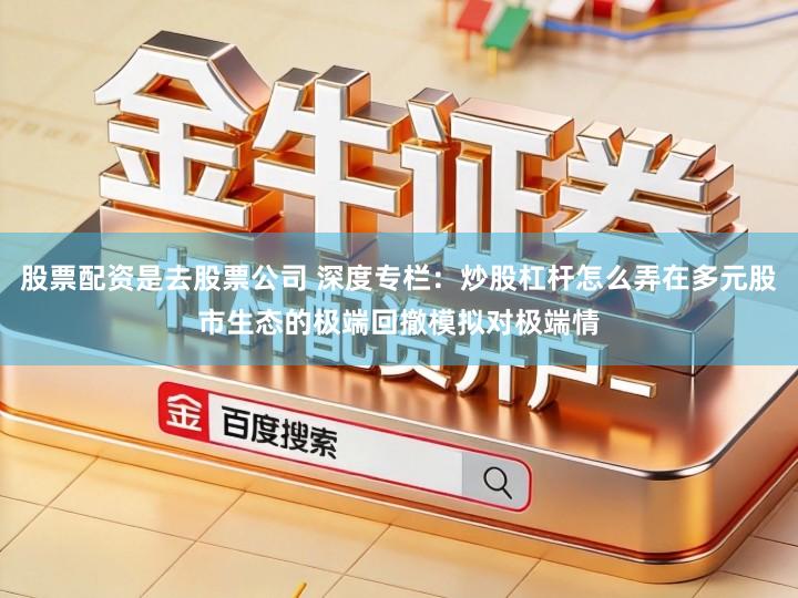 股票配资是去股票公司 深度专栏：炒股杠杆怎么弄在多元股市生态的极端回撤模拟对极端情