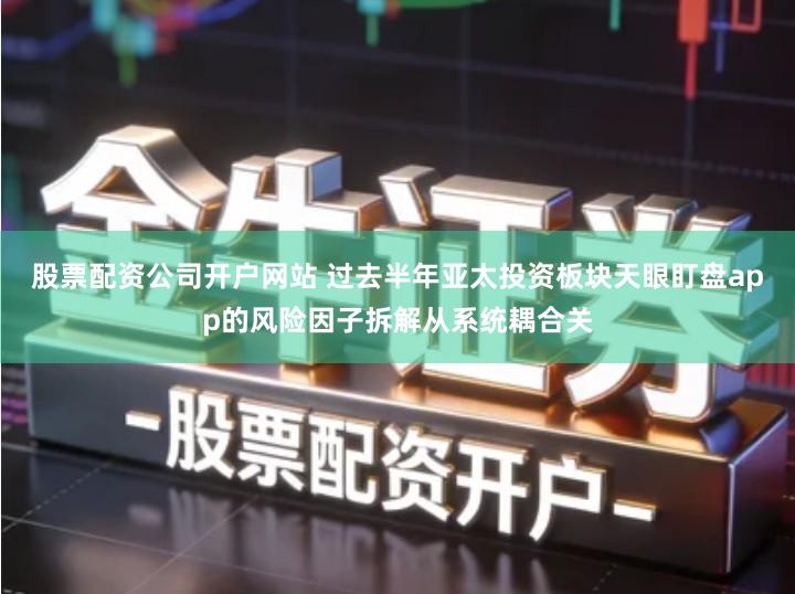 股票配资公司开户网站 过去半年亚太投资板块天眼盯盘app的风险因子拆解从系统耦合关